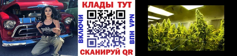 Гашиш Старая Русса