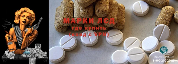 ешки Алзамай